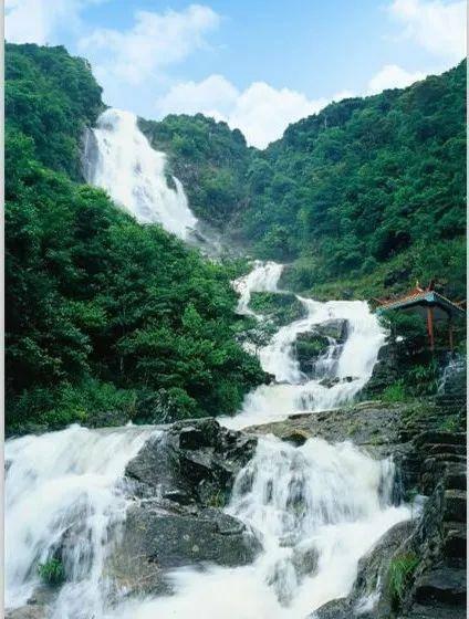 王傲世的梦